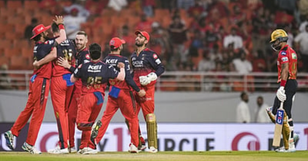 IPL : ಪಂಜಾಬ್ ನ್ನು ಪರಾಭವಗೊಳಿಸಿ ಫೈನಲ್ ಪ್ರವೇಶಿಸಿದ RCB IPL : ಪಂಜಾಬ್ ನ್ನು ಪರಾಭವಗೊಳಿಸಿ ಫೈನಲ್ ಪ್ರವೇಶಿಸಿದ RCB