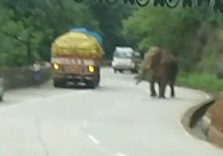 ಕಾಡಾನೆ ಸಂಚಾರ : ನಾಗರಿಕರಿಗೆ ಎಚ್ಚರಿಕೆ ನೀಡಿದ ಆಡಳಿತ ಸಂತೆ ರದ್ದು, ಶಾಲೆ ರಜೆ ಕಾಡಾನೆ ಸಂಚಾರ : ನಾಗರಿಕರಿಗೆ ಎಚ್ಚರಿಕೆ ನೀಡಿದ ಆಡಳಿತ ಸಂತೆ ರದ್ದು, ಶಾಲೆ ರಜೆ
